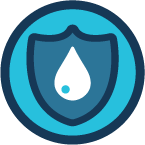 Clear Coat protection